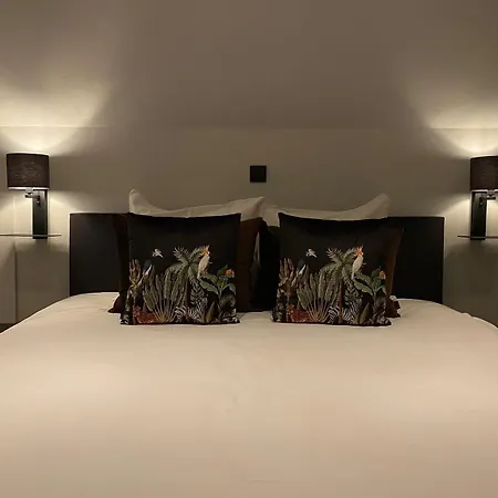 Luxexcellent Super (adults Only) Timebasishotel *